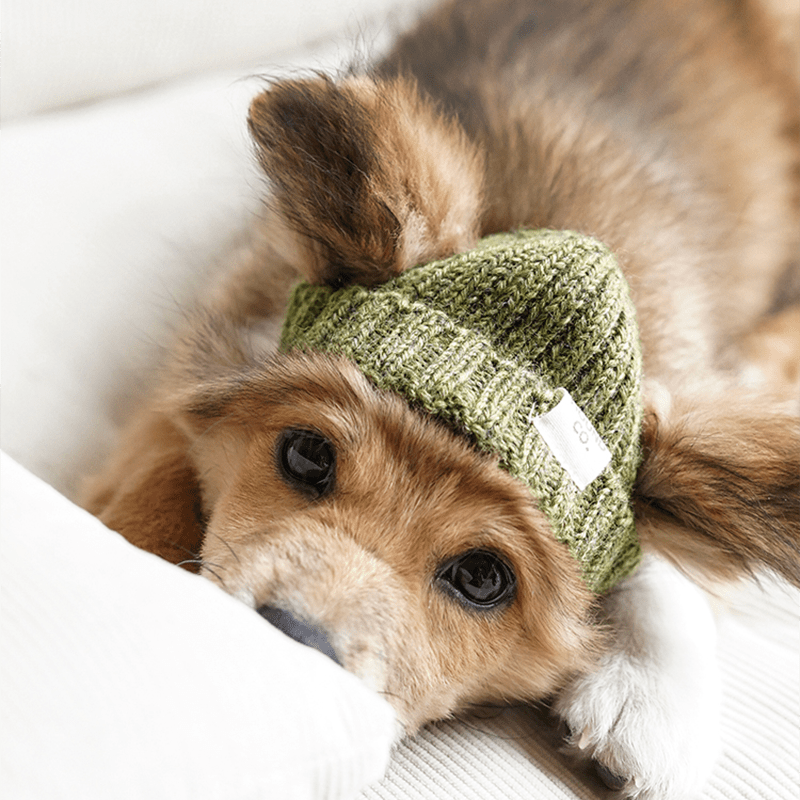 Hand Made Custom Wool Knit Hat Dog Hat Accessory - PIKAPIKA