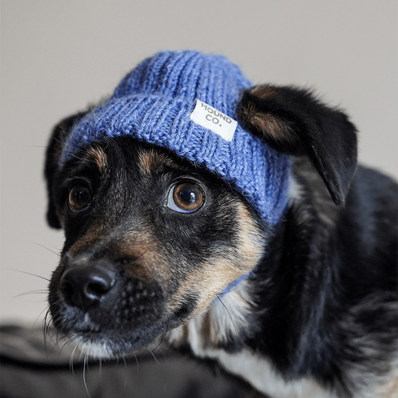 Hand Made Custom Wool Knit Hat Dog Hat Accessory - PIKAPIKA