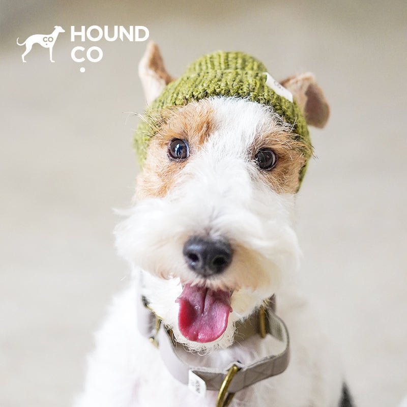 Hand Made Custom Wool Knit Hat Dog Hat Accessory - PIKAPIKA