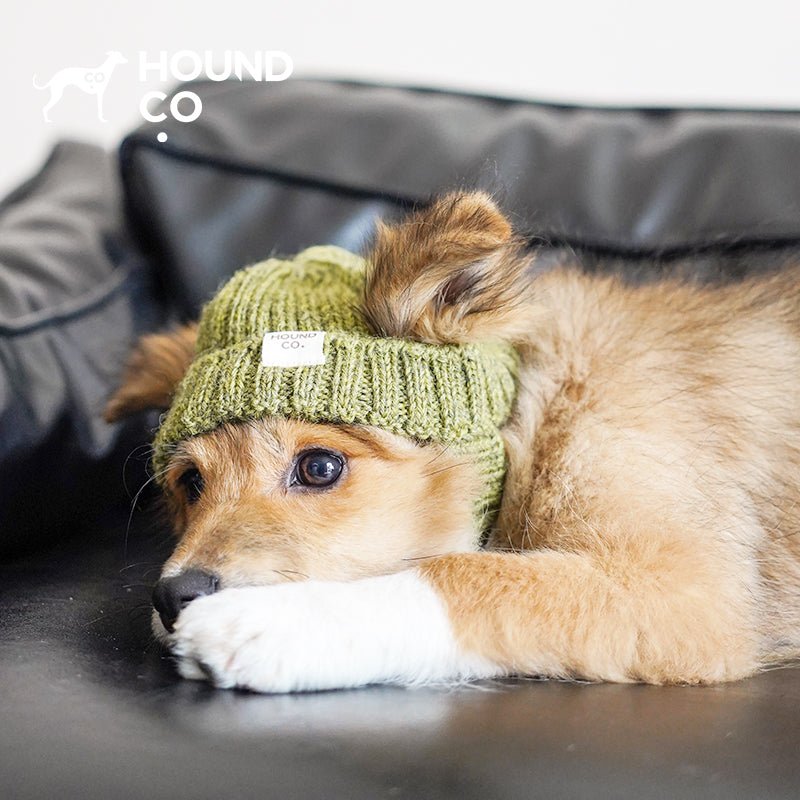 Hand Made Custom Wool Knit Hat Dog Hat Accessory - PIKAPIKA