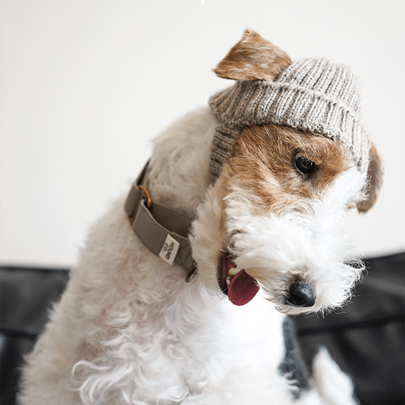 Hand Made Custom Wool Knit Hat Dog Hat Accessory - PIKAPIKA