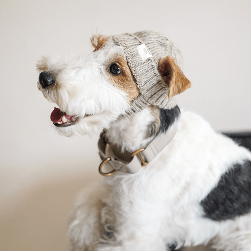Hand Made Custom Wool Knit Hat Dog Hat Accessory - PIKAPIKA