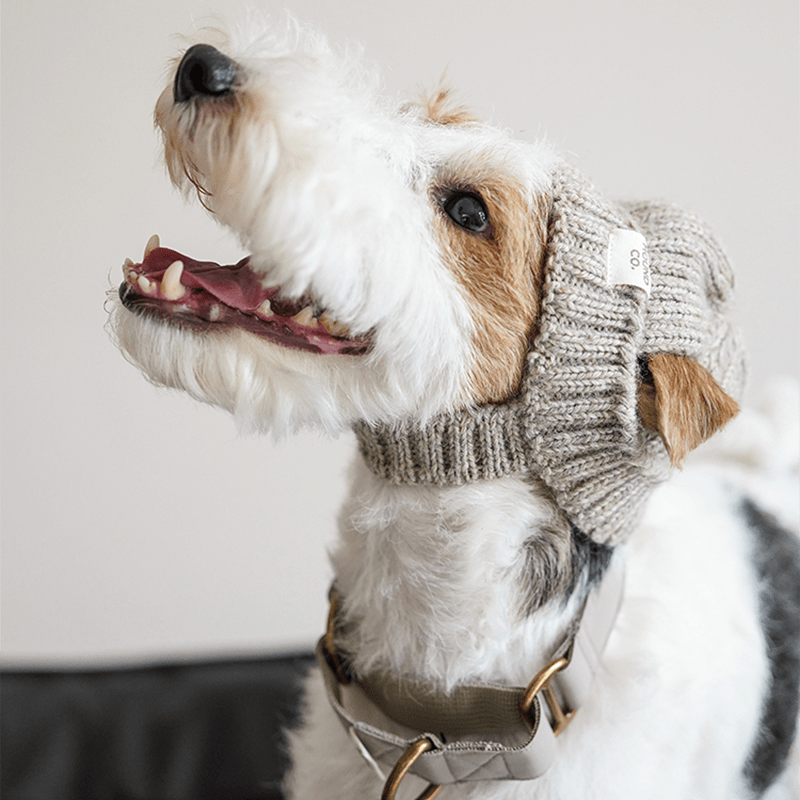 Hand Made Custom Wool Knit Hat Dog Hat Accessory - PIKAPIKA