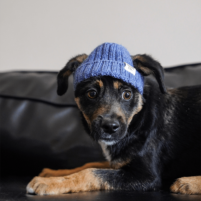 Hand Made Custom Wool Knit Hat Dog Hat Accessory - PIKAPIKA