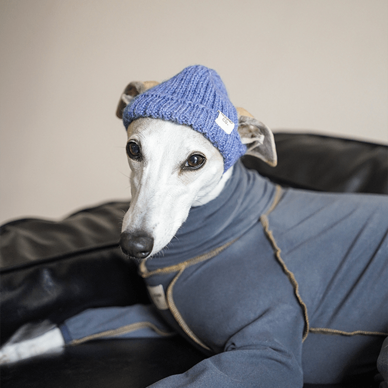 Hand Made Custom Wool Knit Hat Dog Hat Accessory - PIKAPIKA