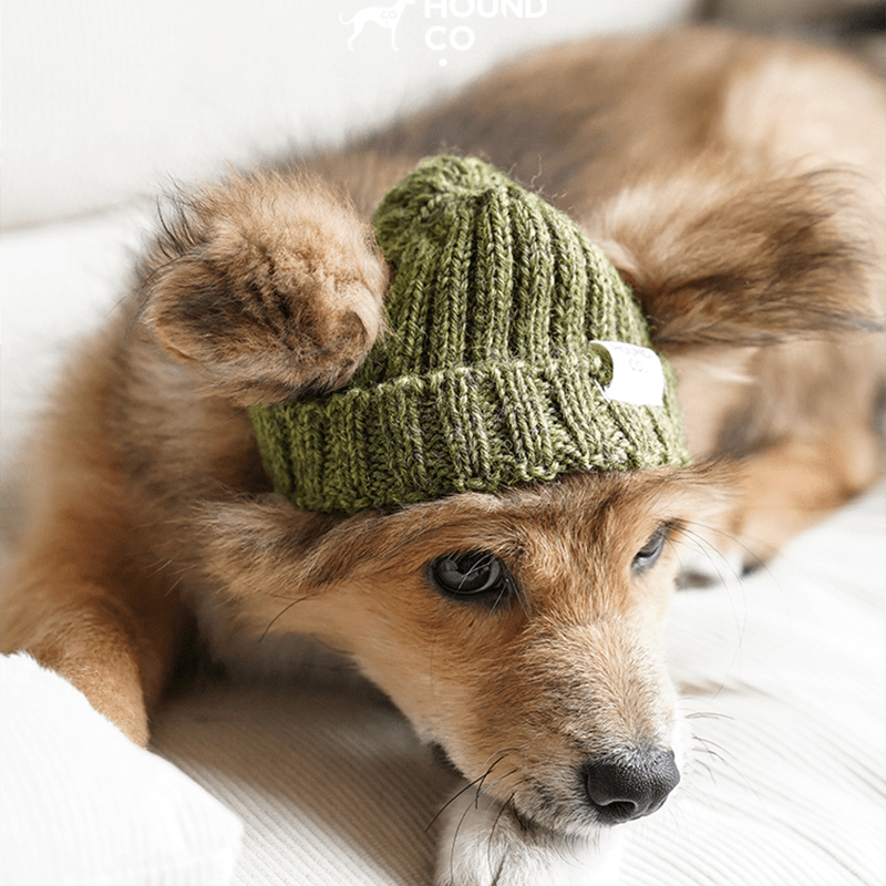 Hand Made Custom Wool Knit Hat Dog Hat Accessory - PIKAPIKA