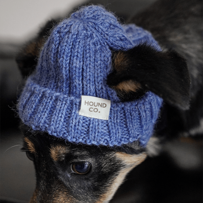 Hand Made Custom Wool Knit Hat Dog Hat Accessory - PIKAPIKA