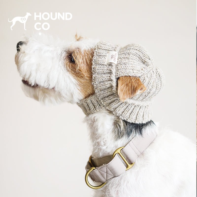 Hand Made Custom Wool Knit Hat Dog Hat Accessory - PIKAPIKA