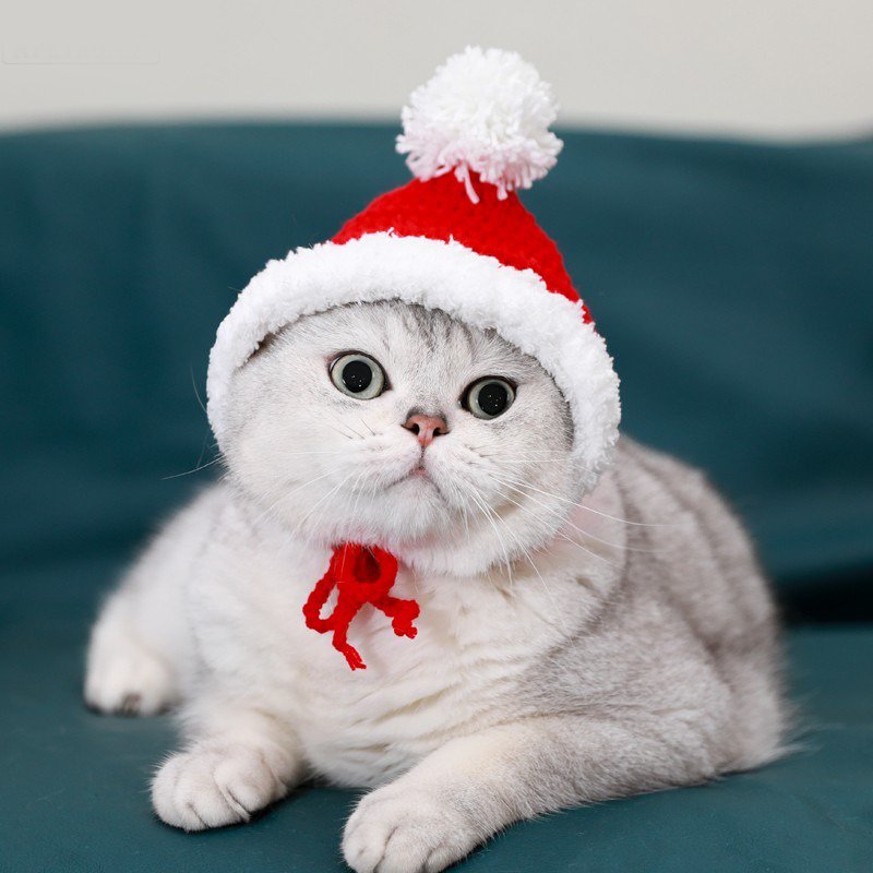 Hand Made Knitting Cat Hat - PIKAPIKA