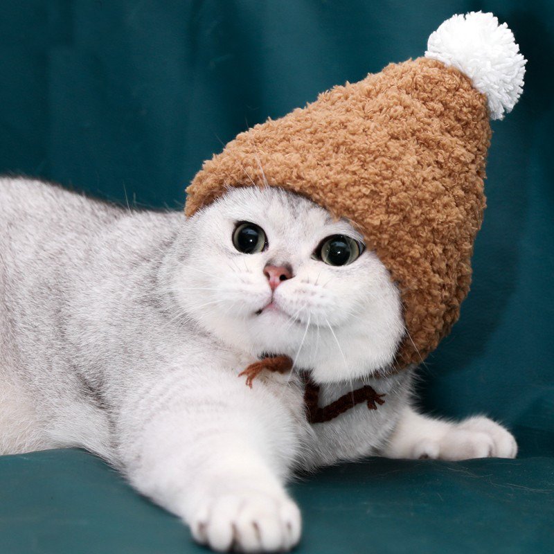 Hand Made Knitting Cat Hat - PIKAPIKA