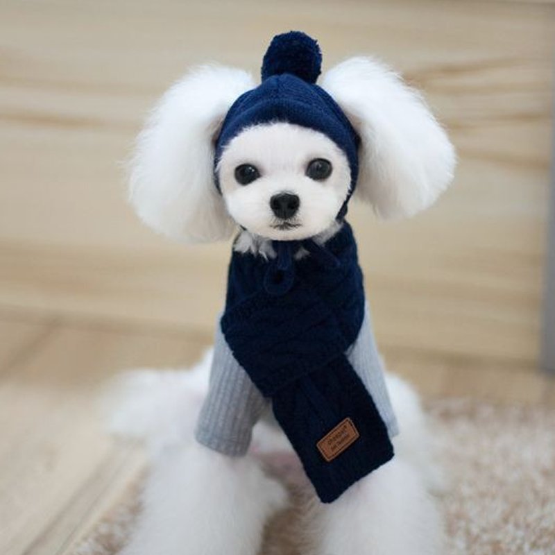 Hand Made Knitting Dog Hat Warm Collar - PIKAPIKA