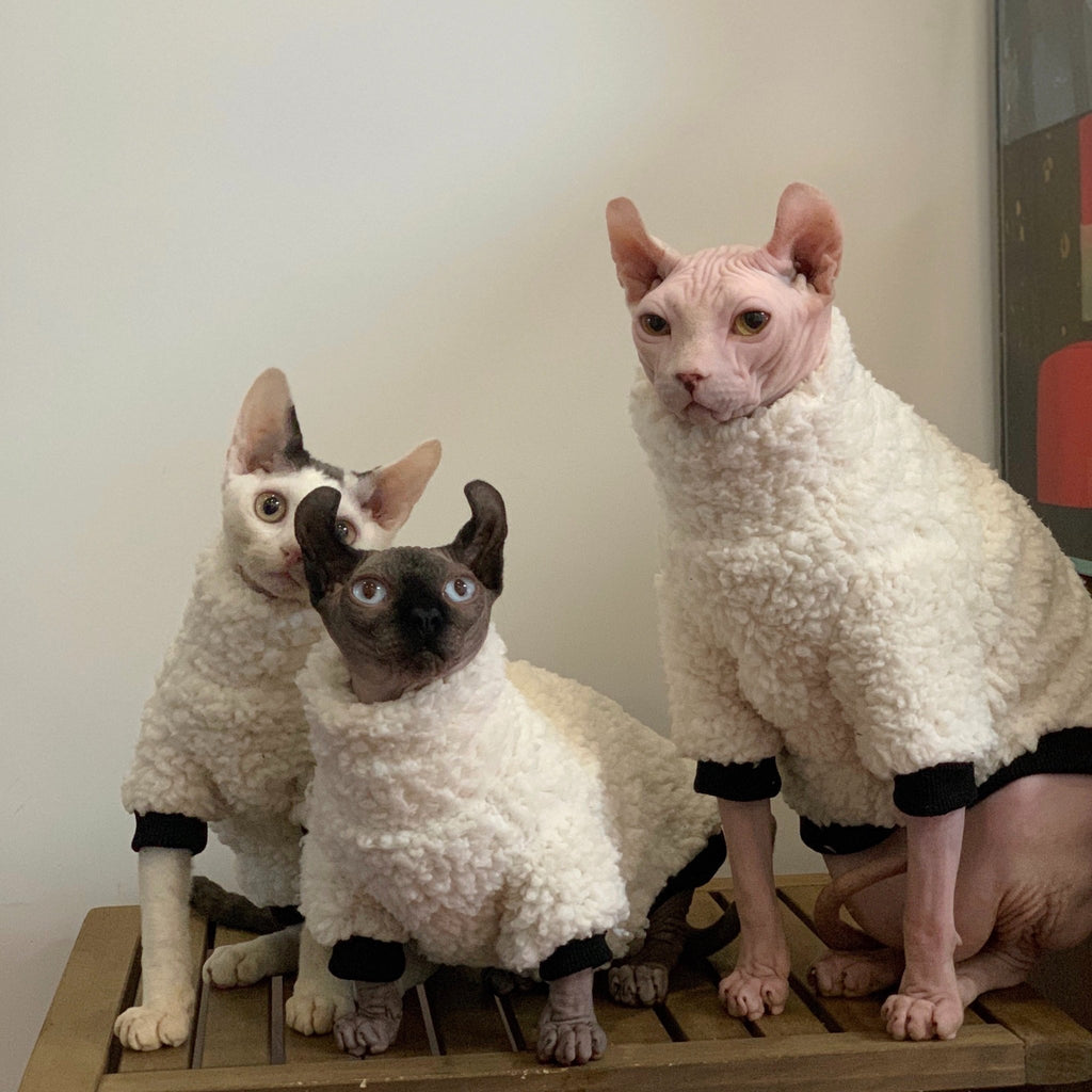 Hand Made Sphynx Cat Clothes Teddy Fleece Turtleneck Shirts - PIKAPIKA