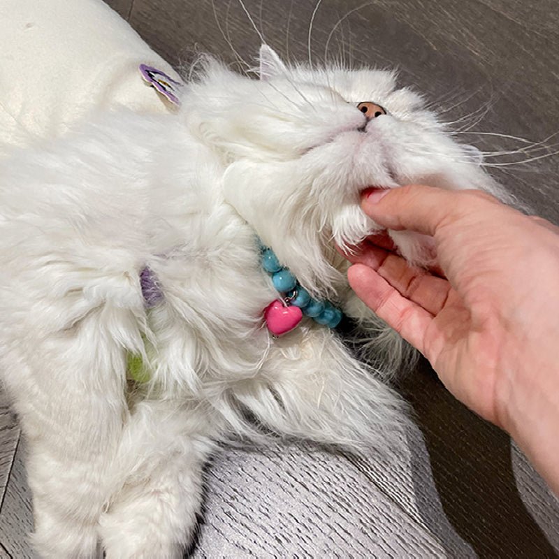 Handmade Love Pendant Dog Cat Necklace Accessories - PIKAPIKA