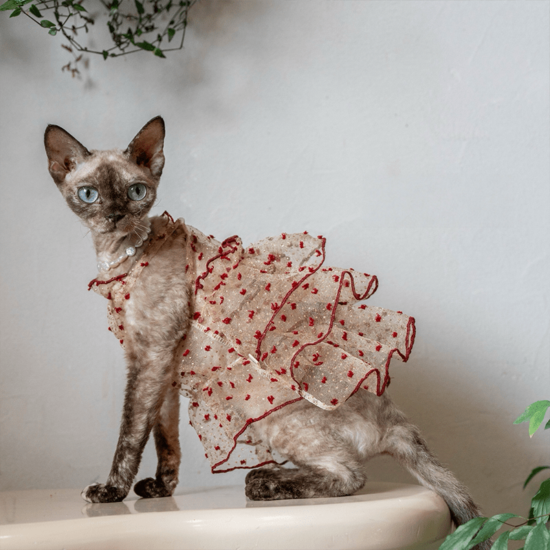 Handmade Sparkly Tulle Dress Sleeveless Party Outfit Sphynx Cat Clothes - PIKAPIKA