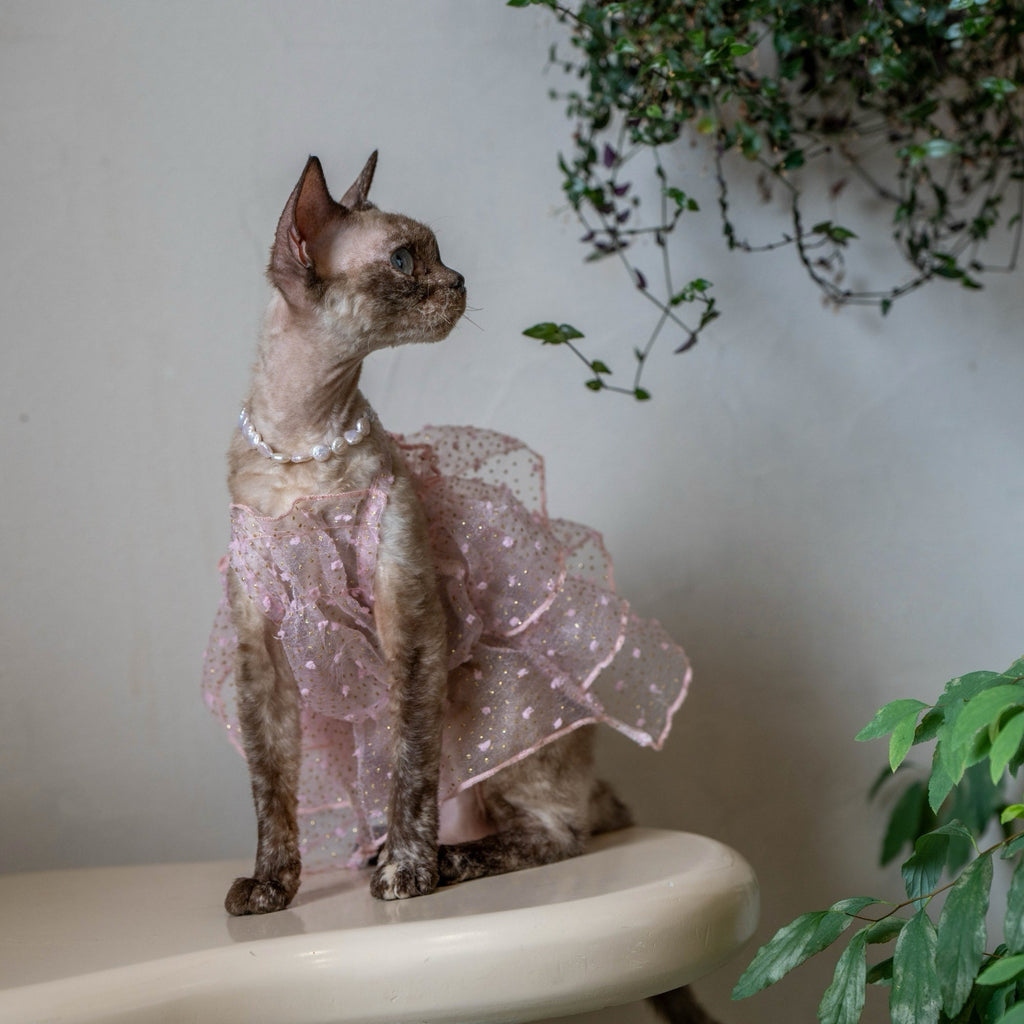 Handmade Sparkly Tulle Dress Sleeveless Party Outfit Sphynx Cat Clothes - PIKAPIKA