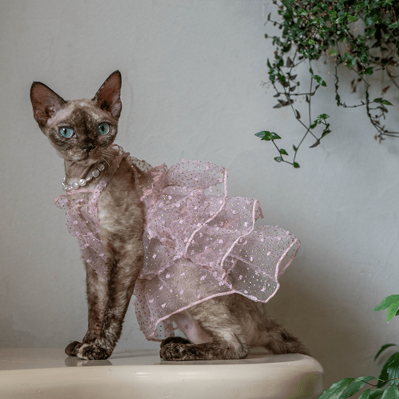 Handmade Sparkly Tulle Dress Sleeveless Party Outfit Sphynx Cat Clothes - PIKAPIKA