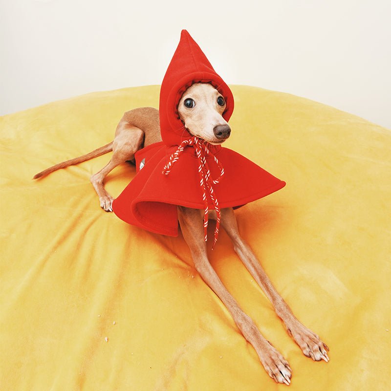 Hat Cloak for Italian Greyhound Whippet Dog - PIKAPIKA