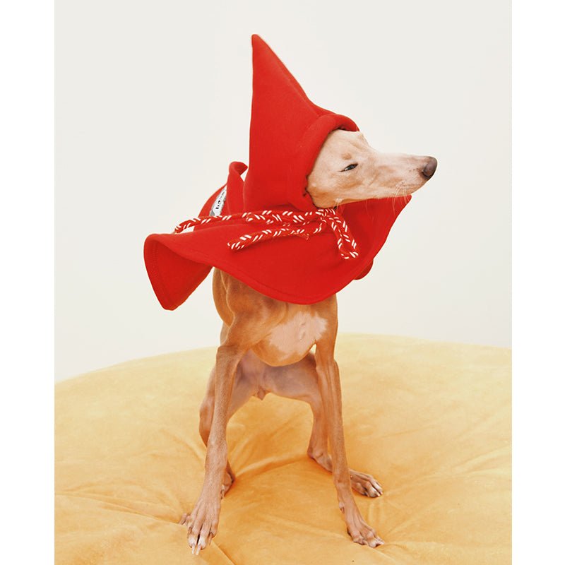 Hat Cloak for Italian Greyhound Whippet Dog - PIKAPIKA