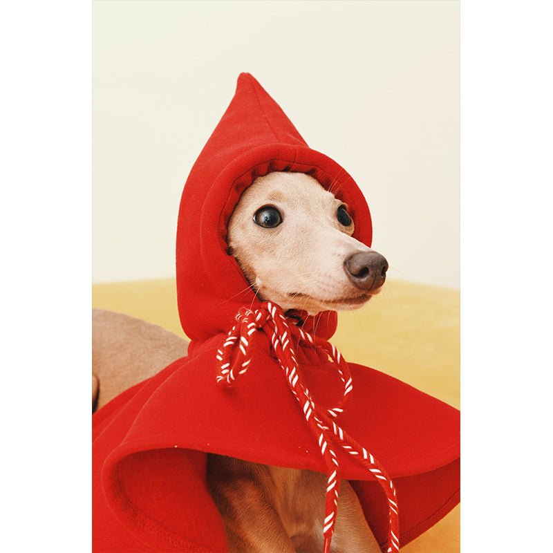 Hat Cloak for Italian Greyhound Whippet Dog - PIKAPIKA