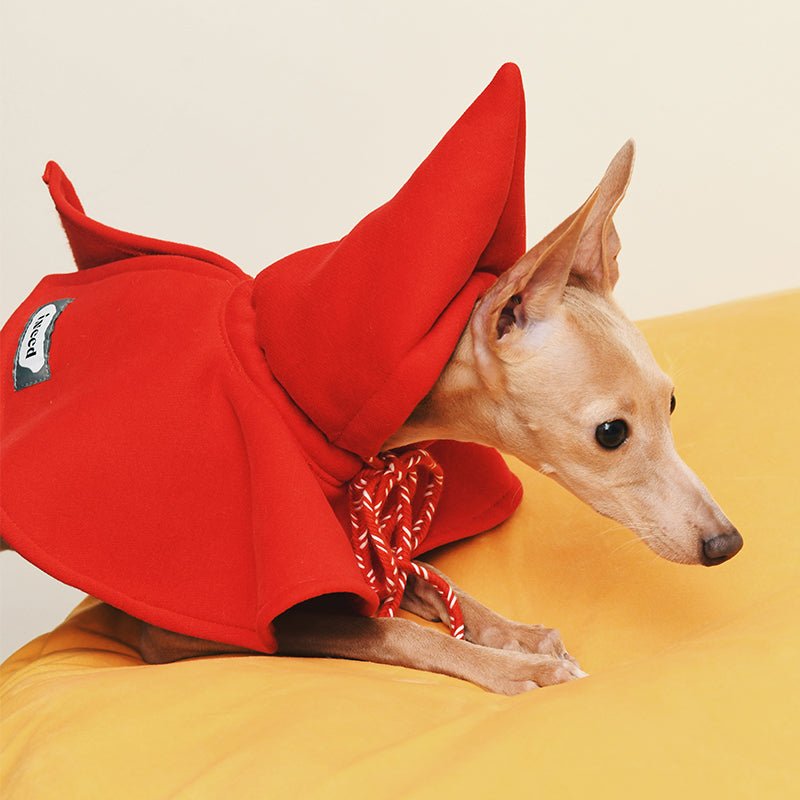 Hat Cloak for Italian Greyhound Whippet Dog - PIKAPIKA