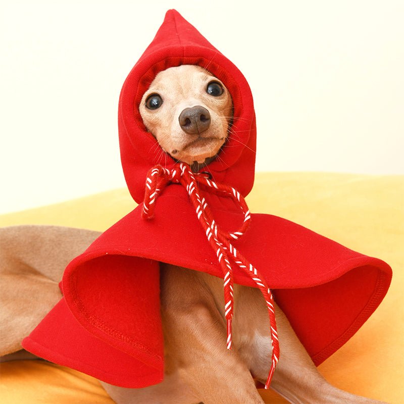 Hat Cloak for Italian Greyhound Whippet Dog - PIKAPIKA