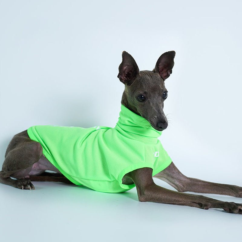 High Neck Sport Sleeveless Shirt Italian greyhound Whippet Dog Clothes - PIKAPIKA