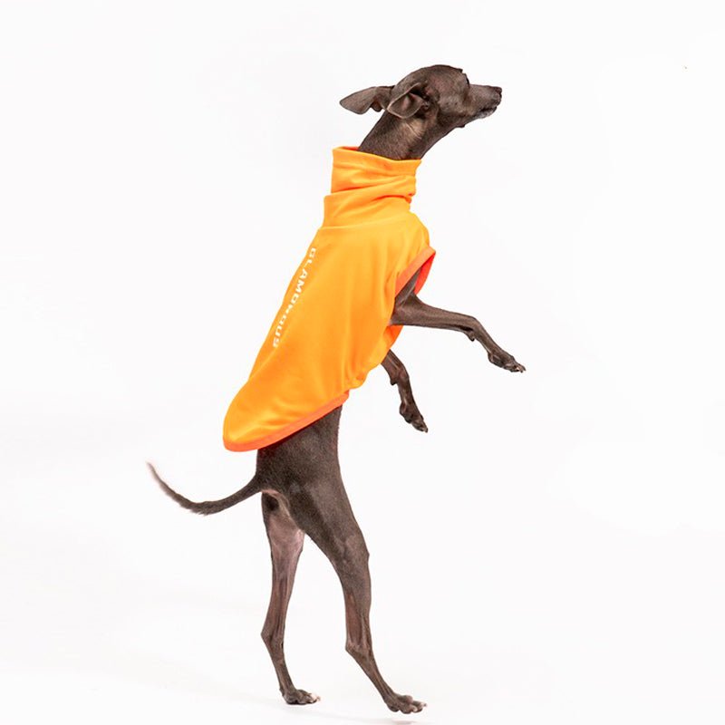 High Neck Sport Sleeveless Shirt Italian greyhound Whippet Dog Clothes - PIKAPIKA
