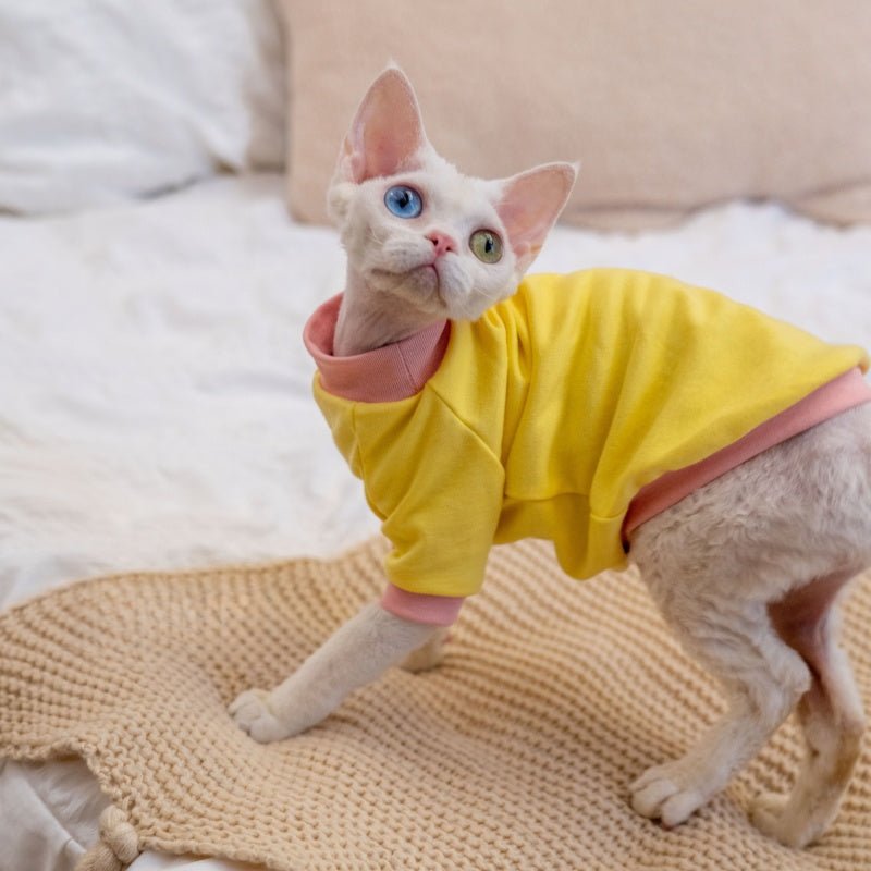 High - Quality Cotton Color Block T-Shirt Summer Base Layer Sphynx Cat Clothes - PIKAPIKA