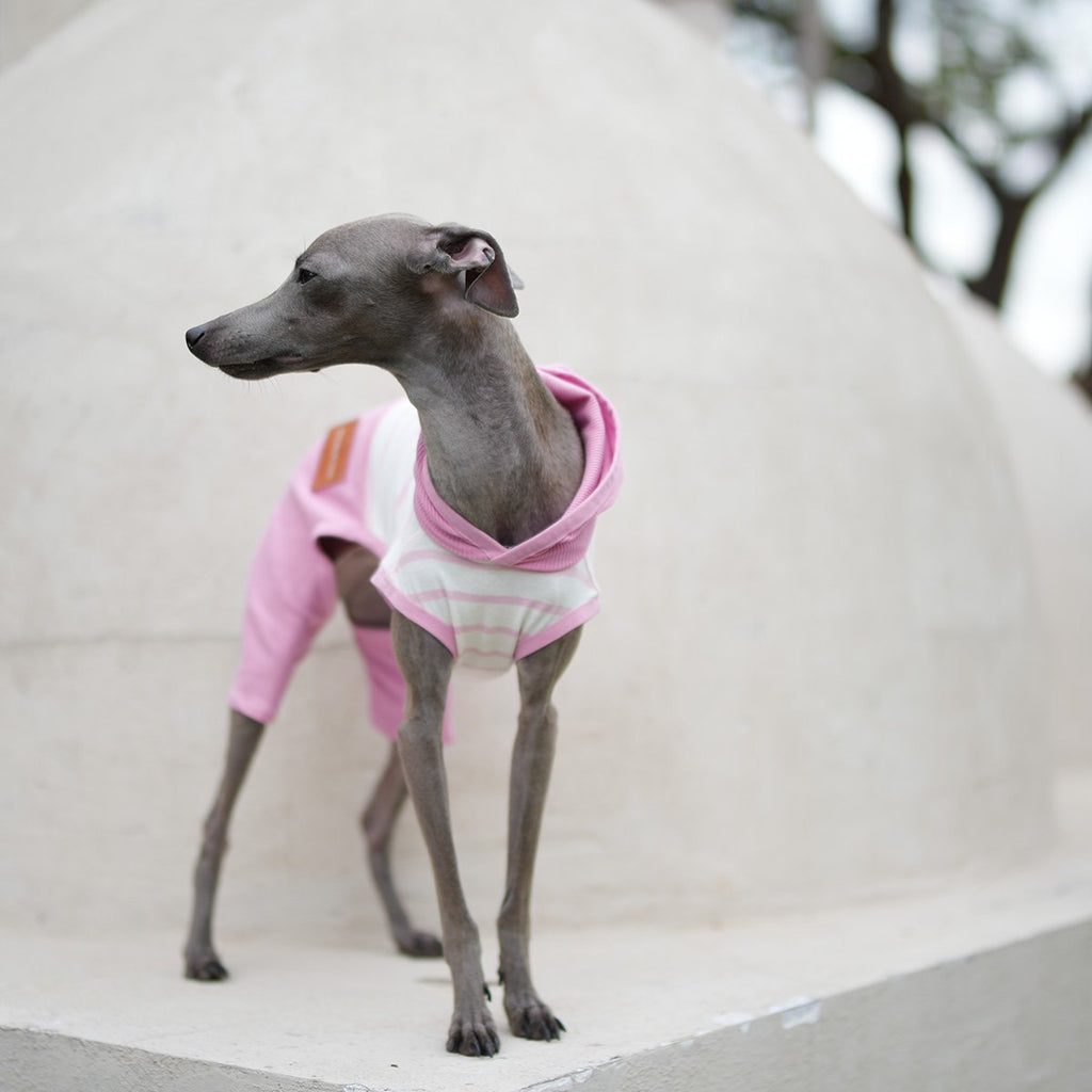 Hooded Striped Vest for Dogs Lightweight Spring Summer Wear for Sighthounds - PIKAPIKA