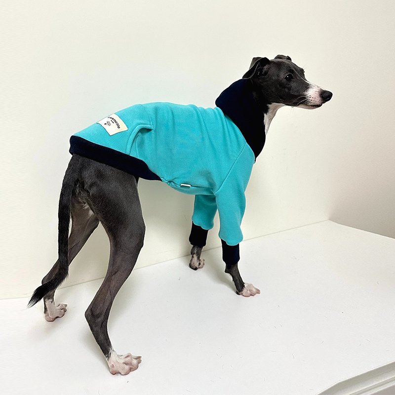 Hoodie Italian Greyhound Whippet Dog Clothes - PIKAPIKA