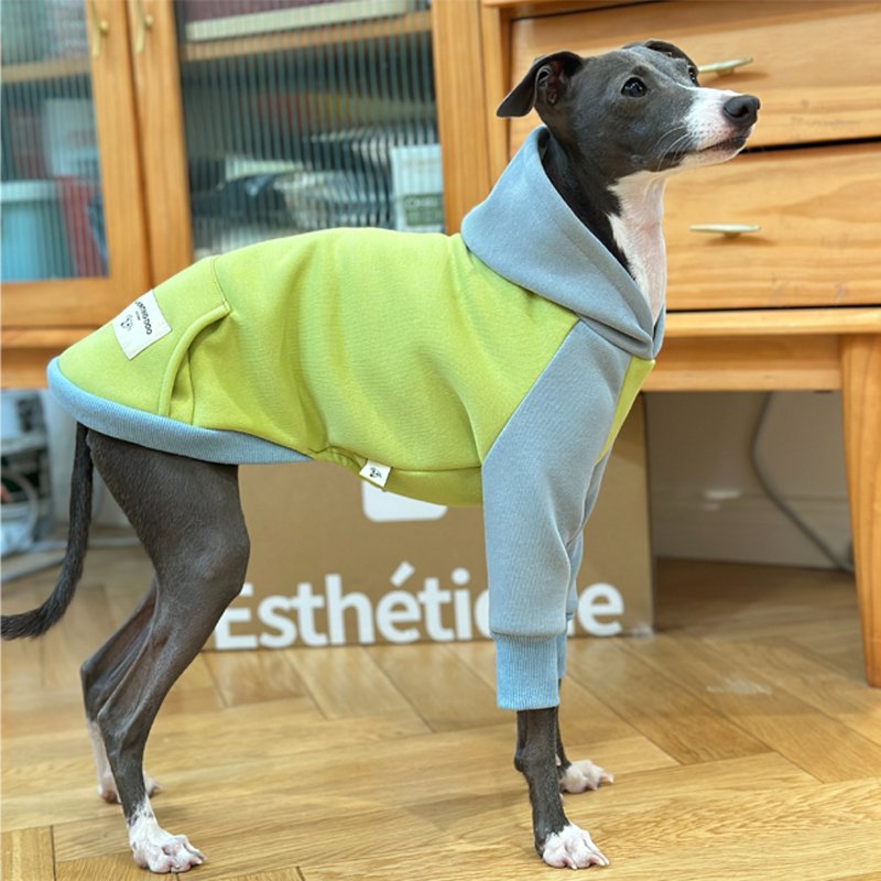 Hoodie Italian Greyhound Whippet Dog Clothes - PIKAPIKA