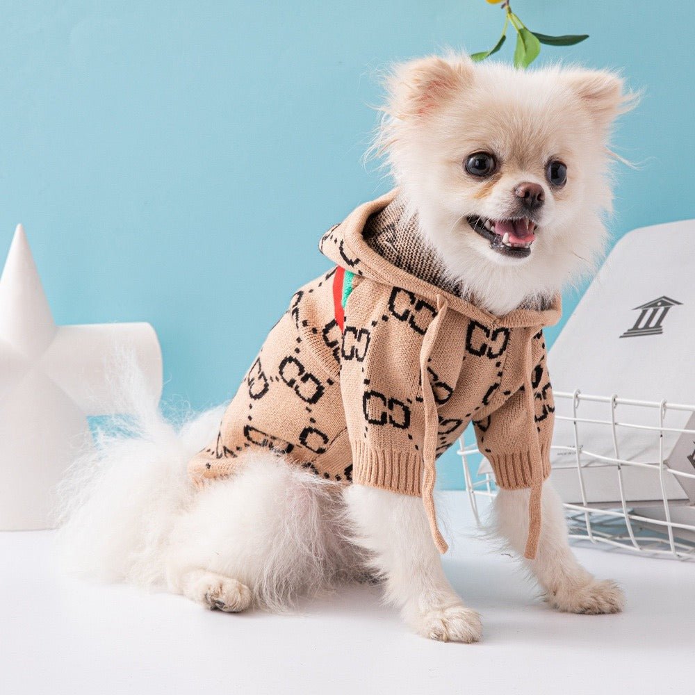 Hoodie Knitting Sweater Dog Clothes, Gucci Style - PIKAPIKA