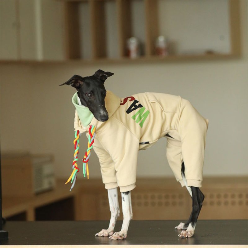 Hoodie Onesie Italian Greyhound Whippet Dog Clothes - PIKAPIKA