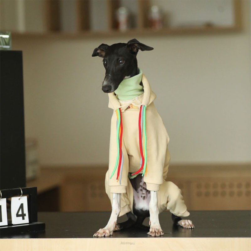 Hoodie Onesie Italian Greyhound Whippet Dog Clothes - PIKAPIKA