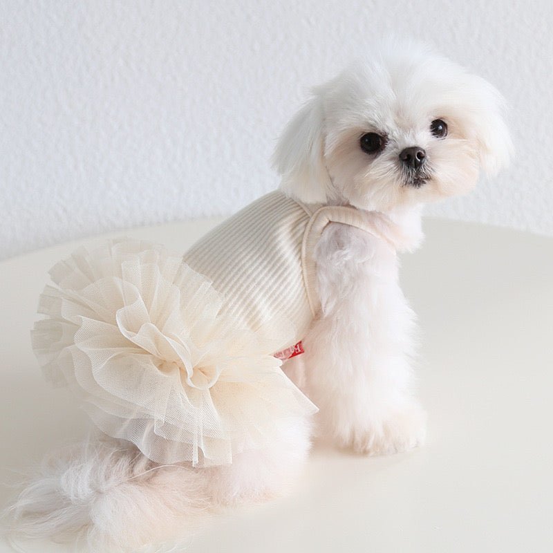 Hot Likes Layered Lace Princess Dog Dress Dog Clothes - PIKAPIKA