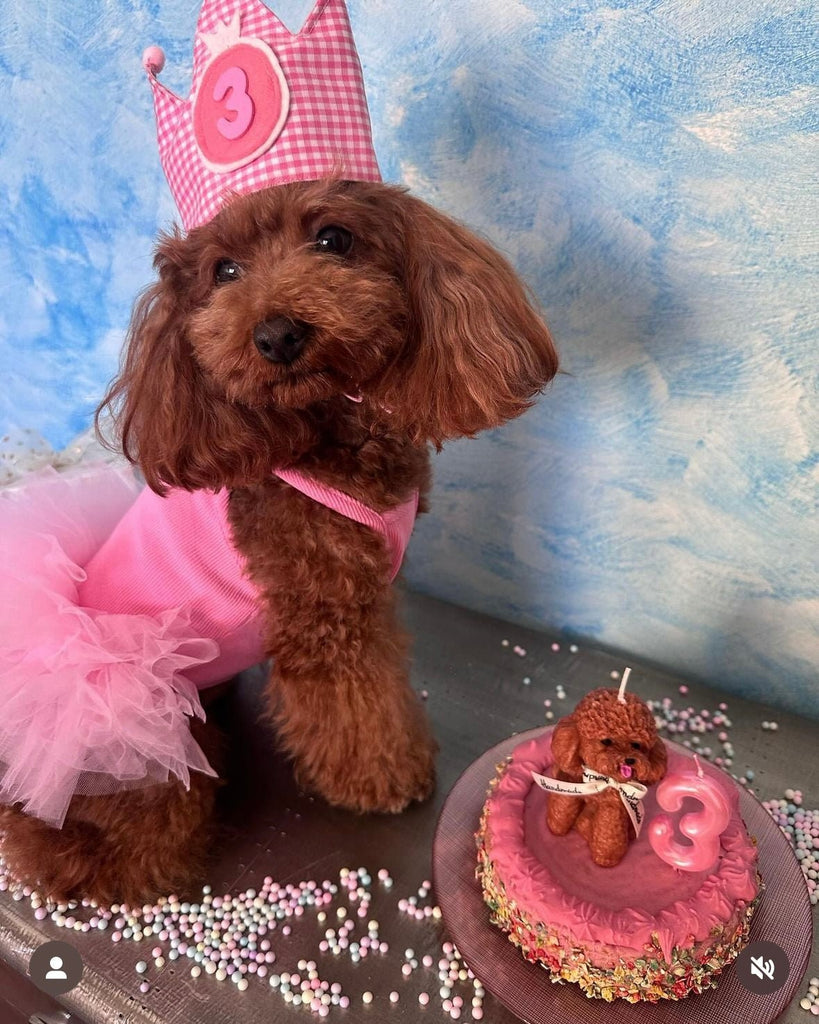 Hot Likes Layered Lace Princess Dog Dress Dog Clothes - PIKAPIKA
