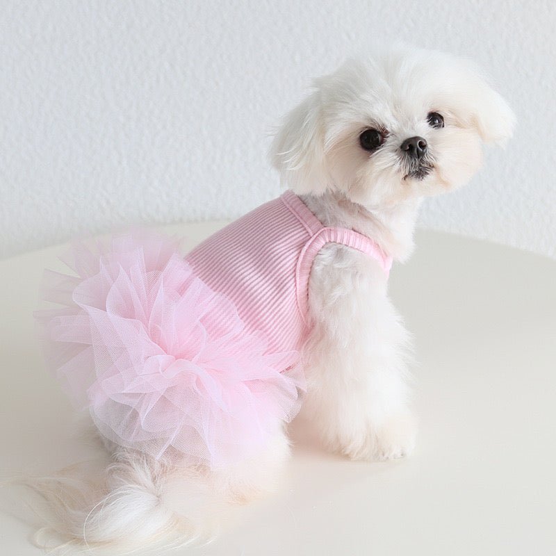 Layered Lace Princess Dog Dress Dog Clothes