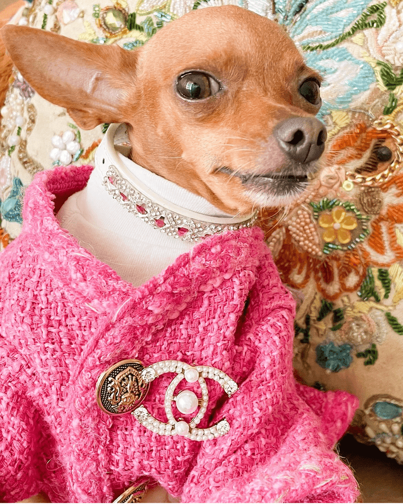Hot Likes Tweed Style Jacket Warm Dog Clothes Chihuahua - PIKAPIKA