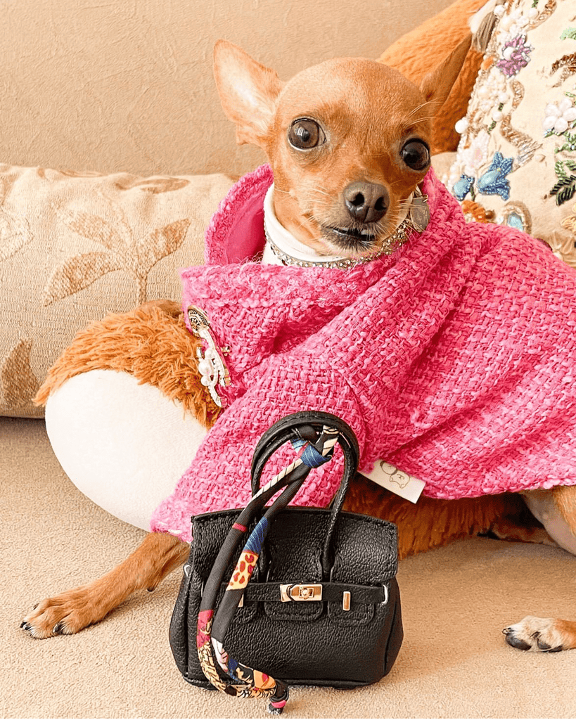 Hot Likes Tweed Style Jacket Warm Dog Clothes Chihuahua - PIKAPIKA