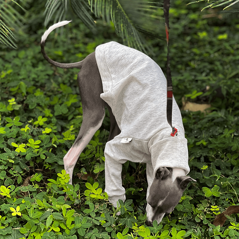 Italian Greyhound Dog Clothes Underlayer Shirts High Neck Soft Touch - PIKAPIKA