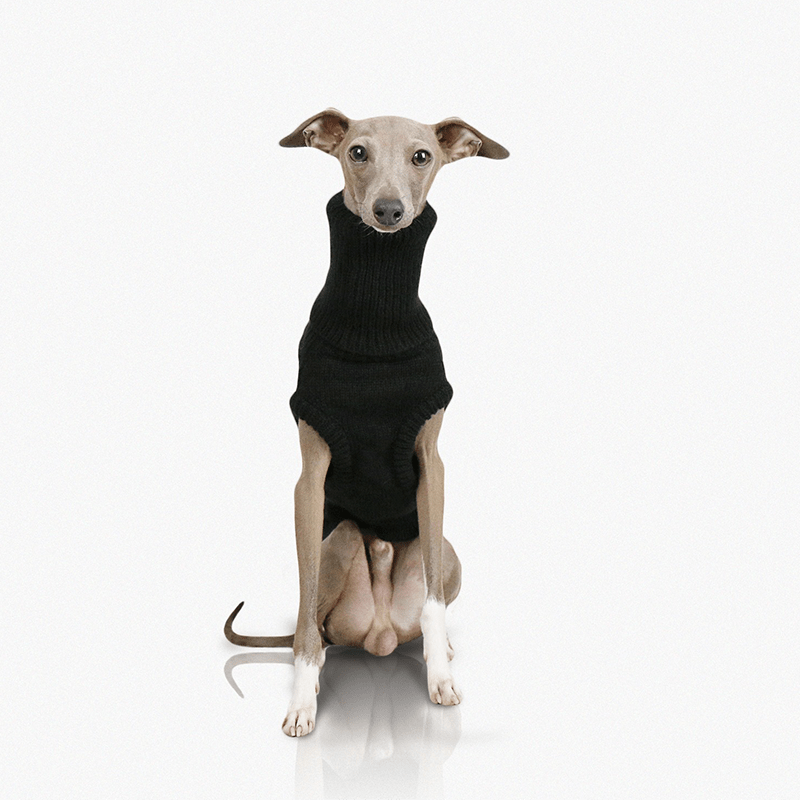 Italian Greyhound Dog Sweater Cable Knit Clothes Black - PIKAPIKA