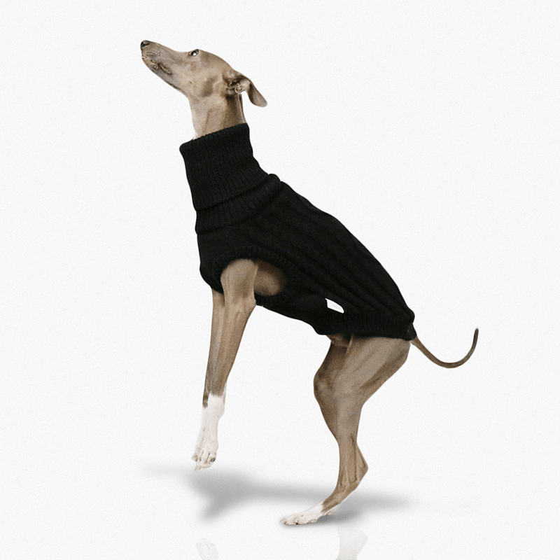 Italian Greyhound Dog Sweater Cable Knit Clothes Black - PIKAPIKA
