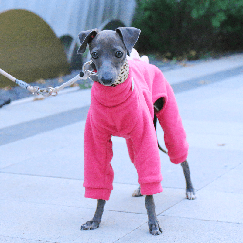 Italian Greyhound Onesies Double Fleece Dinosaur Thick Whippet Dog Clothes Rose - PIKAPIKA