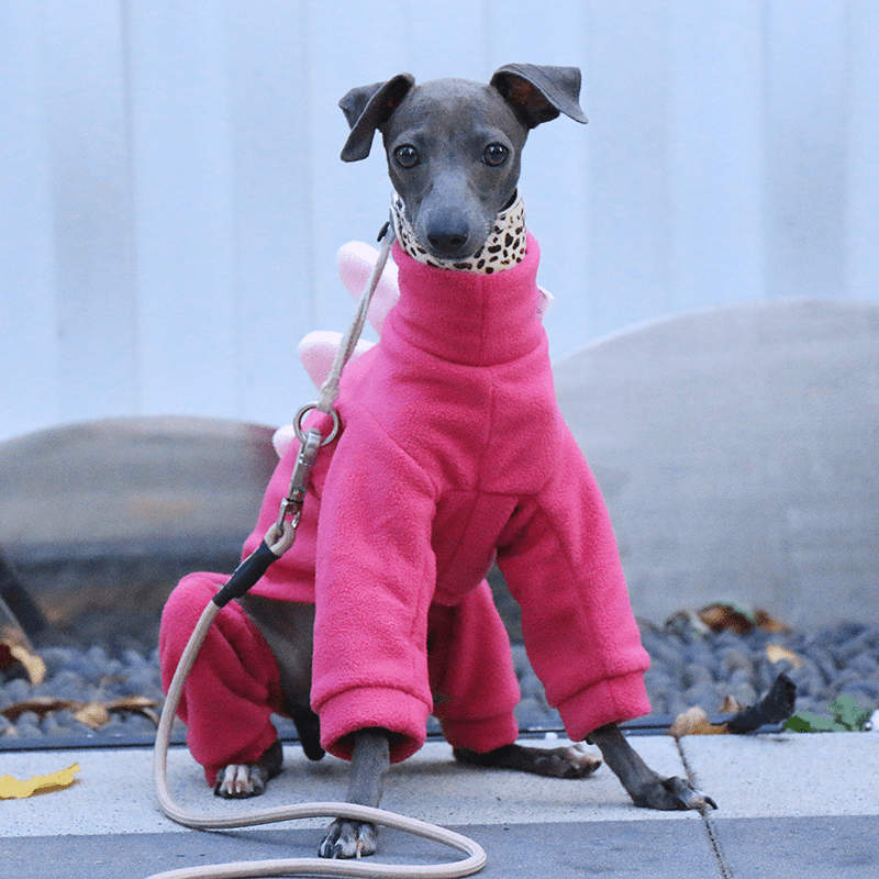 Italian Greyhound Onesies Double Fleece Dinosaur Thick Whippet Dog Clothes Rose - PIKAPIKA