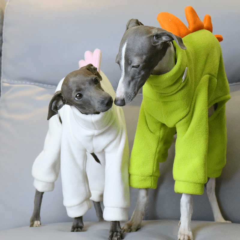 Italian greyhound clothing pattern - België Italian greyhound clothing pattern - België