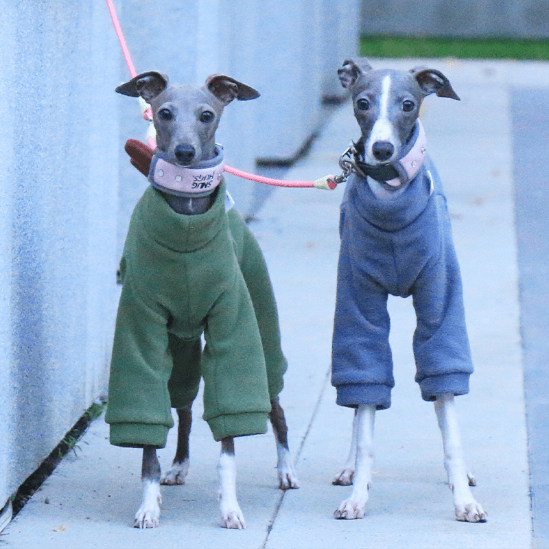 Italian Greyhound Onesies Double Fleece Dinosaur Whippet Dog Clothes Army Green - PIKAPIKA