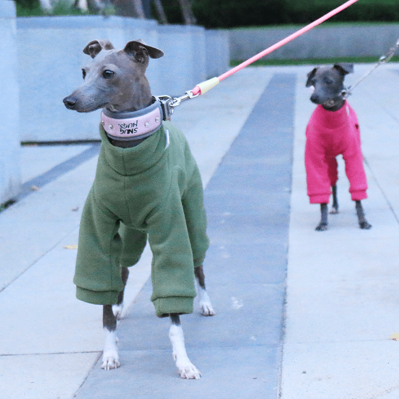 Italian Greyhound Onesies Double Fleece Dinosaur Whippet Dog Clothes Army Green - PIKAPIKA