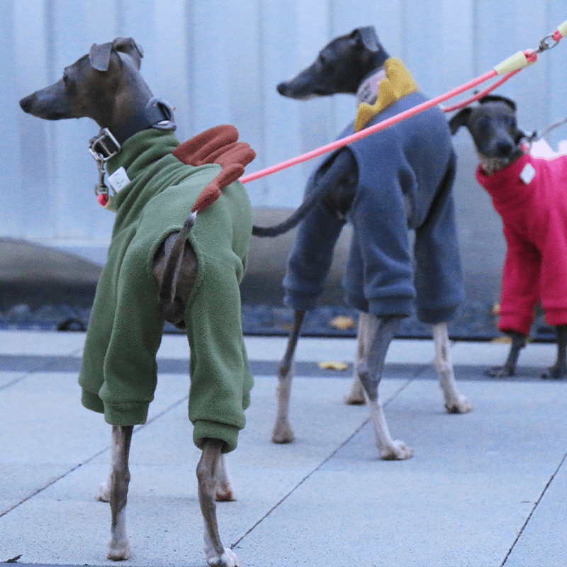 Italian Greyhound Onesies Double Fleece Dinosaur Whippet Dog Clothes Army Green - PIKAPIKA