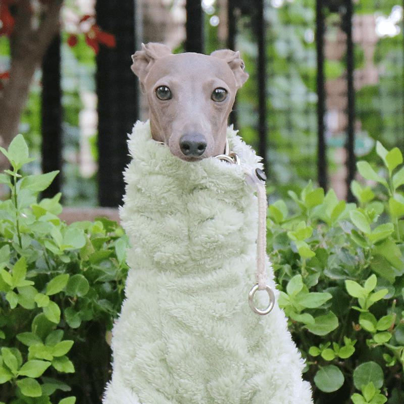 Italian Greyhound Onesies Double Fleece Thick Whippet Dog Clothing Green - PIKAPIKA