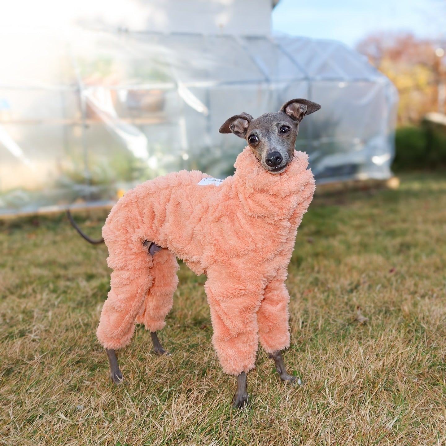 MOKATES Grijze Honden Trui Met Coltrui – Stretch Fleece Vest Voor Windhonden En Whippets – Warm En Comfortabel – Maat 3XL